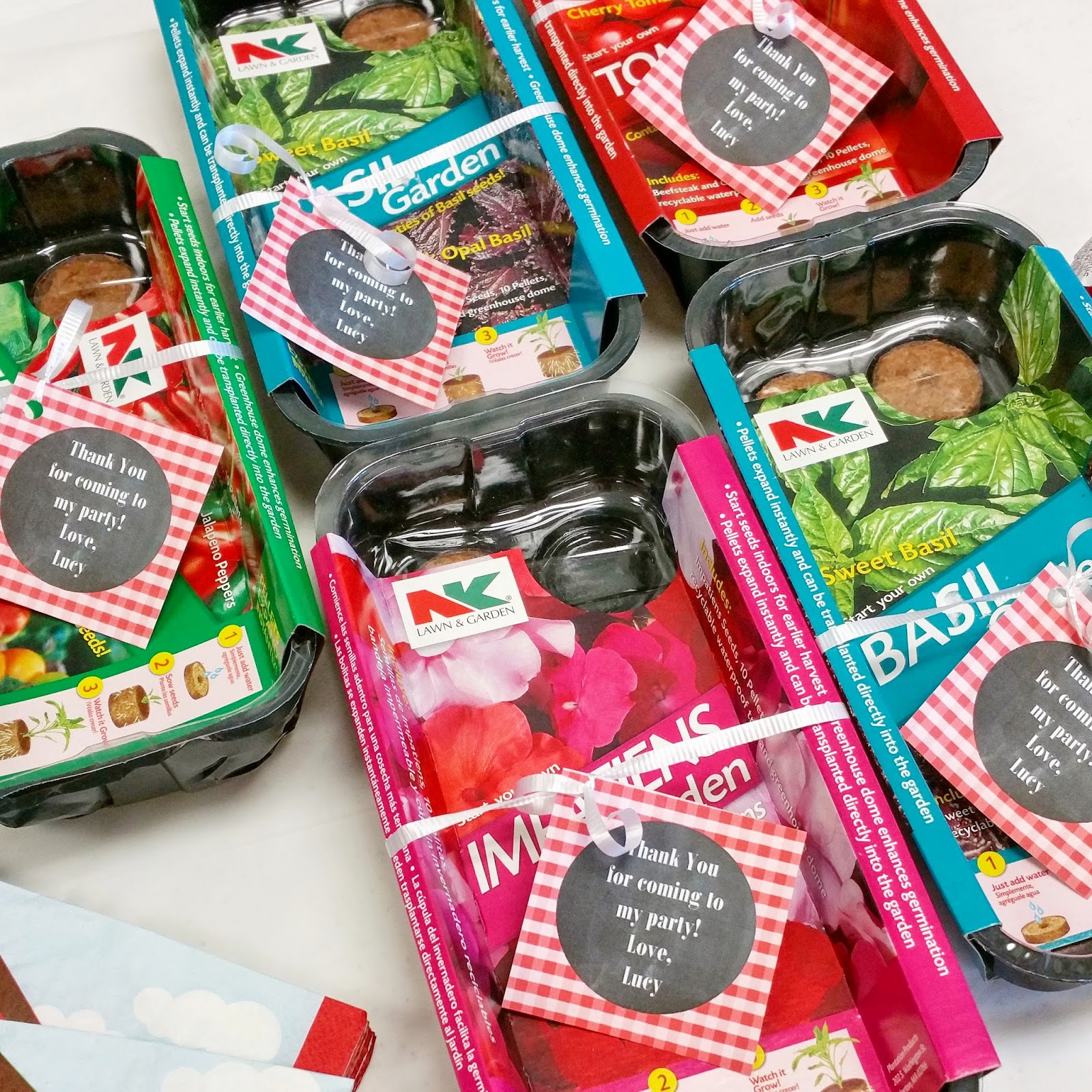 Farm Birthday Party - Giggles Galore